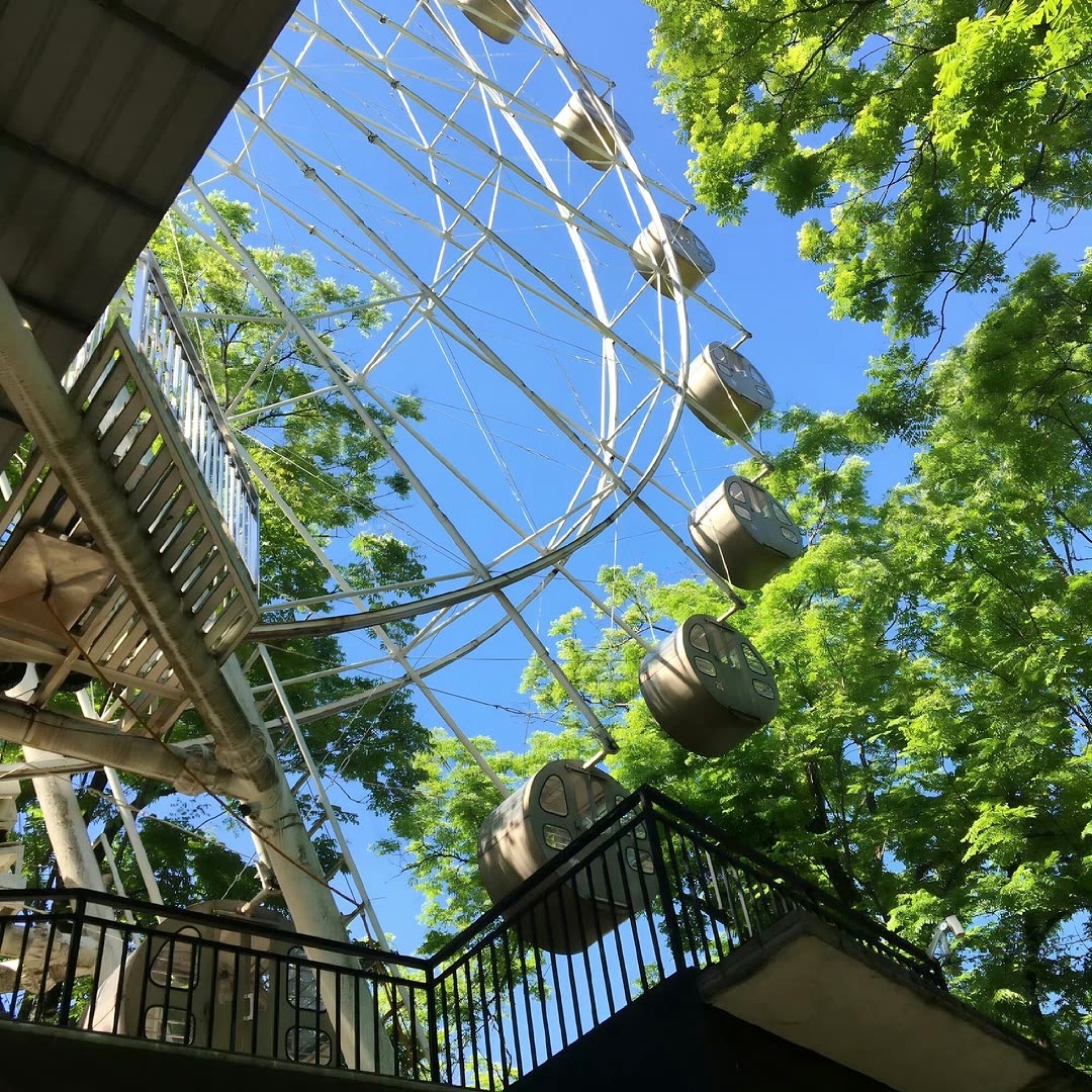 𝑾𝒆𝑪𝒉𝒂𝒕朋友圈背景图｜清凉感｜夏天｜盛夏｜绿色｜治愈系｜高级感｜