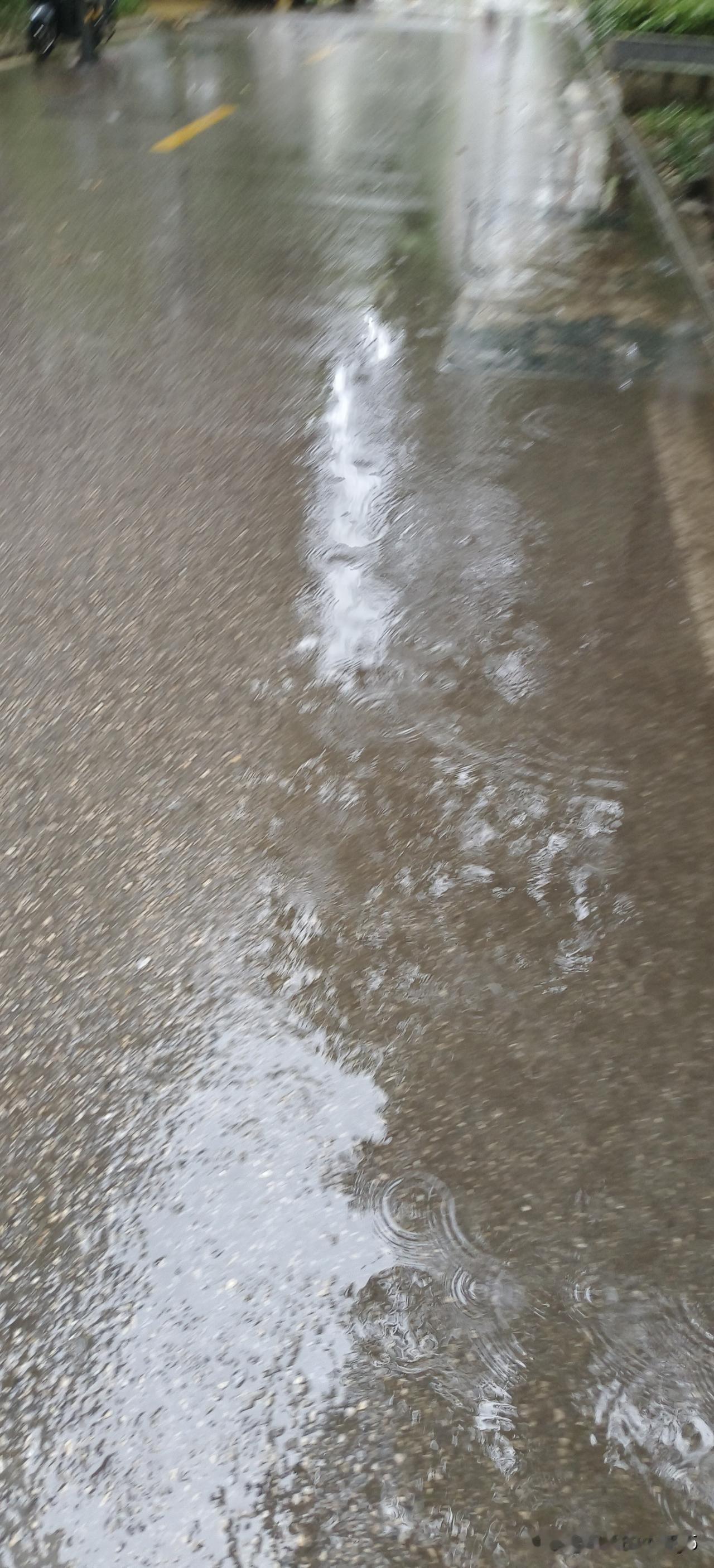 夏日生活打卡季