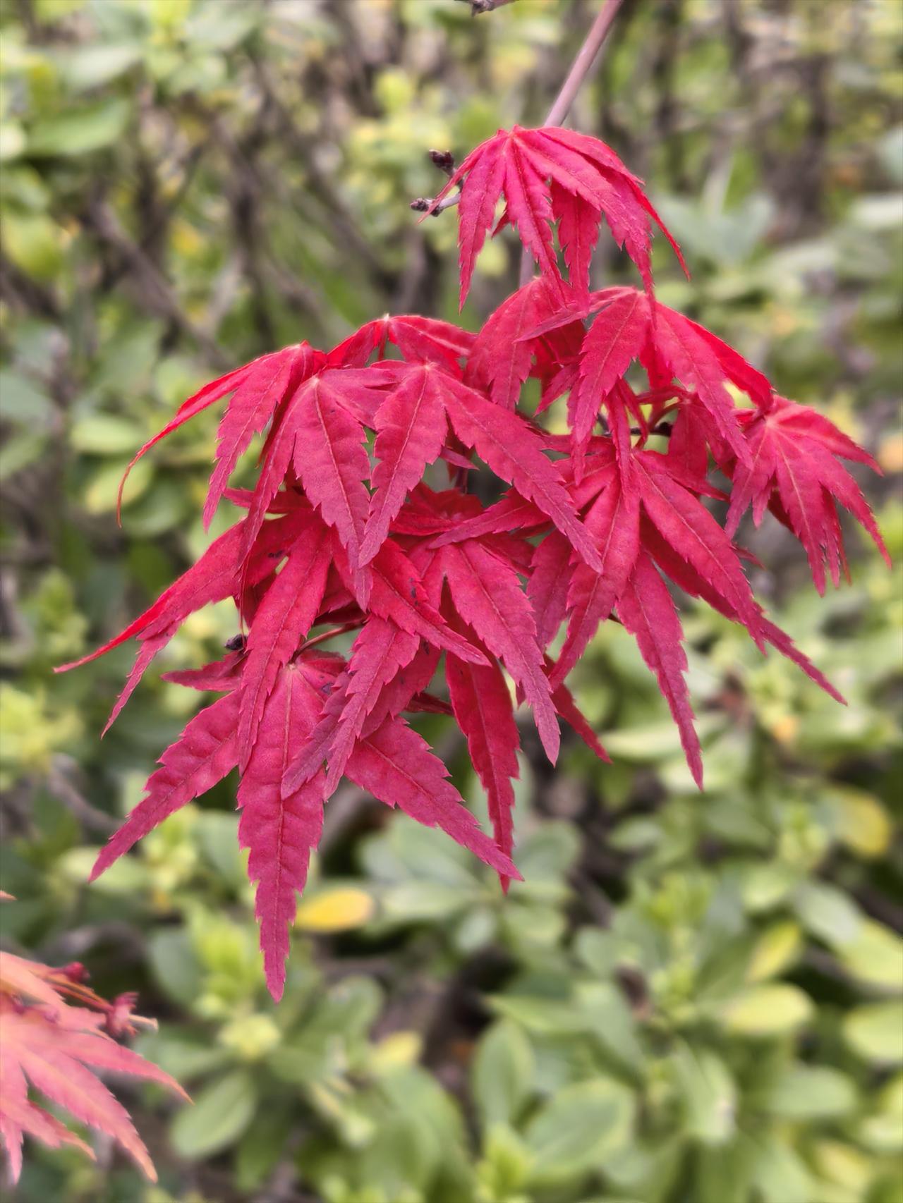 📢临沭文旅在2026年春假期间推出了重磅惠民政策，针对全市8年级（含）以下学生