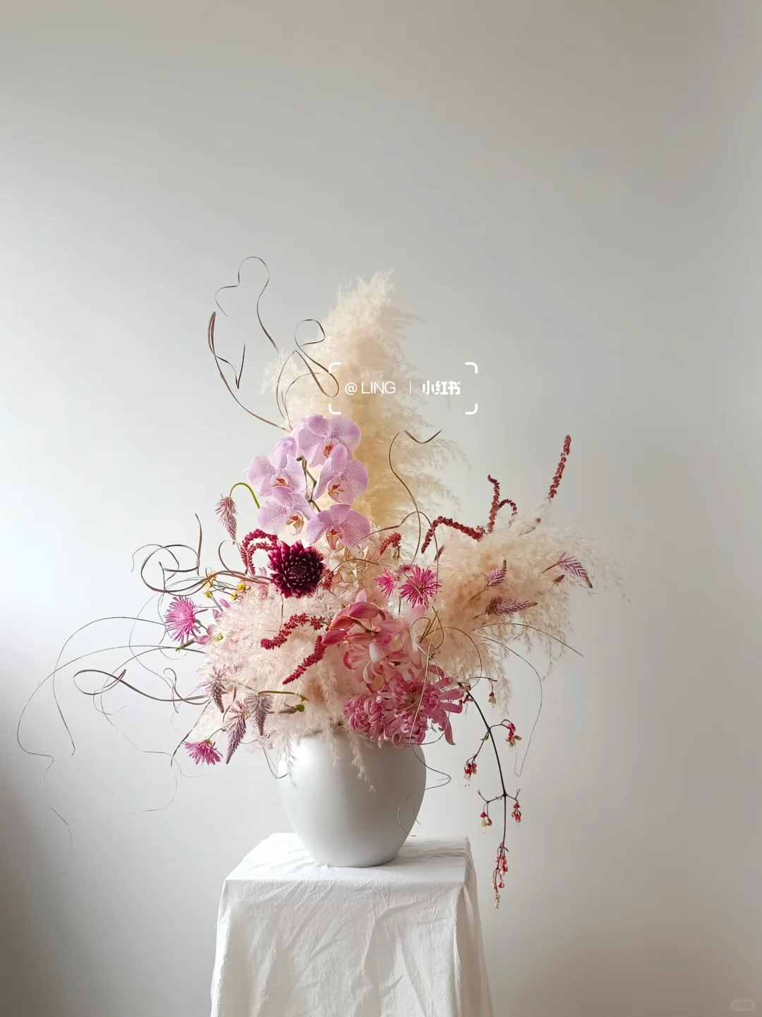 🌸柔粉芦苇荡~