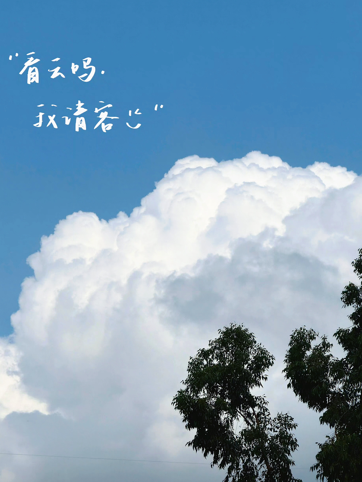吸个氧 🍃 ꒱˚        生命值恢复𝟏𝟎𝟎% 