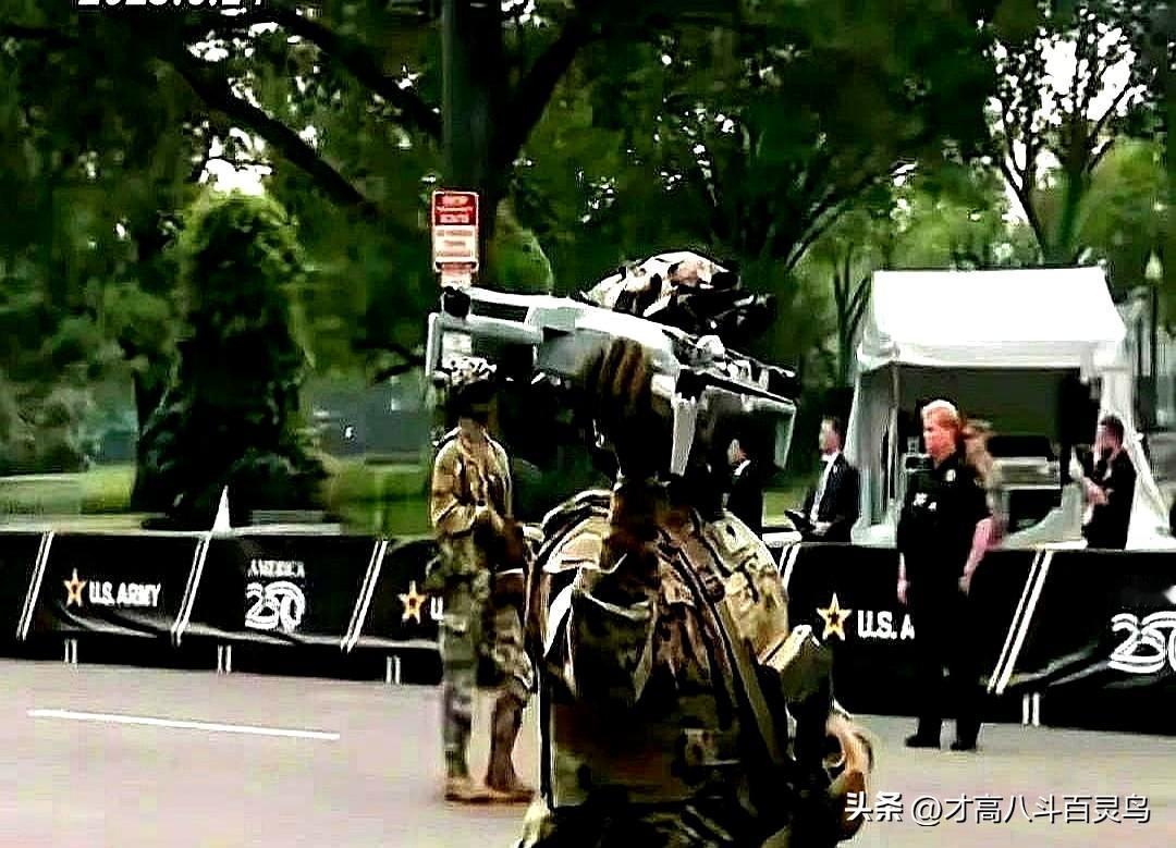 特朗普真是天才，因为在生日当天举办美国阅兵庆典，担心抗议的人太多，为了确保阅兵顺