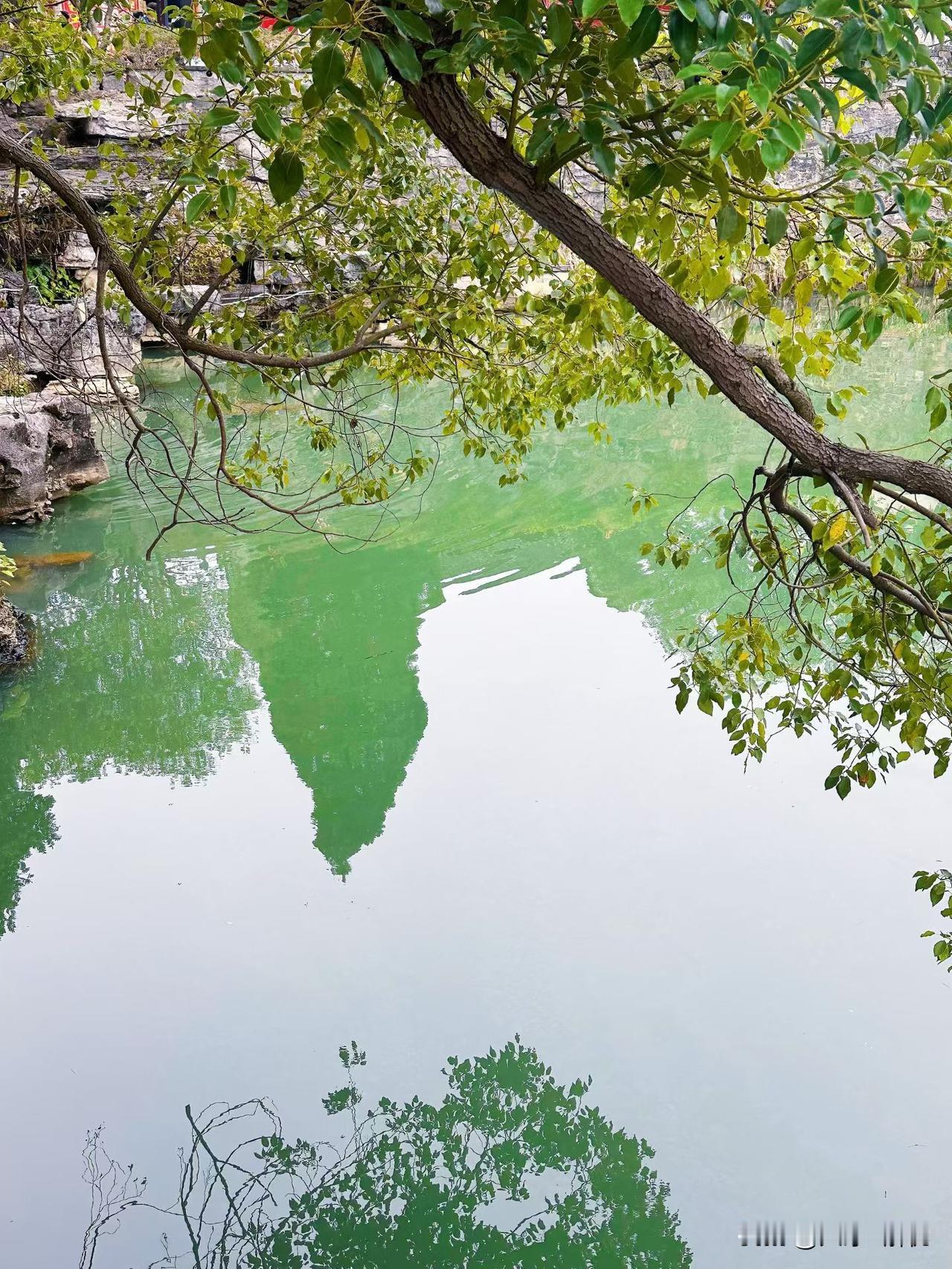 有时候玄学真是不得不信

侄子已经33岁了，今年过年的时候，他去寺庙里面求姻缘，