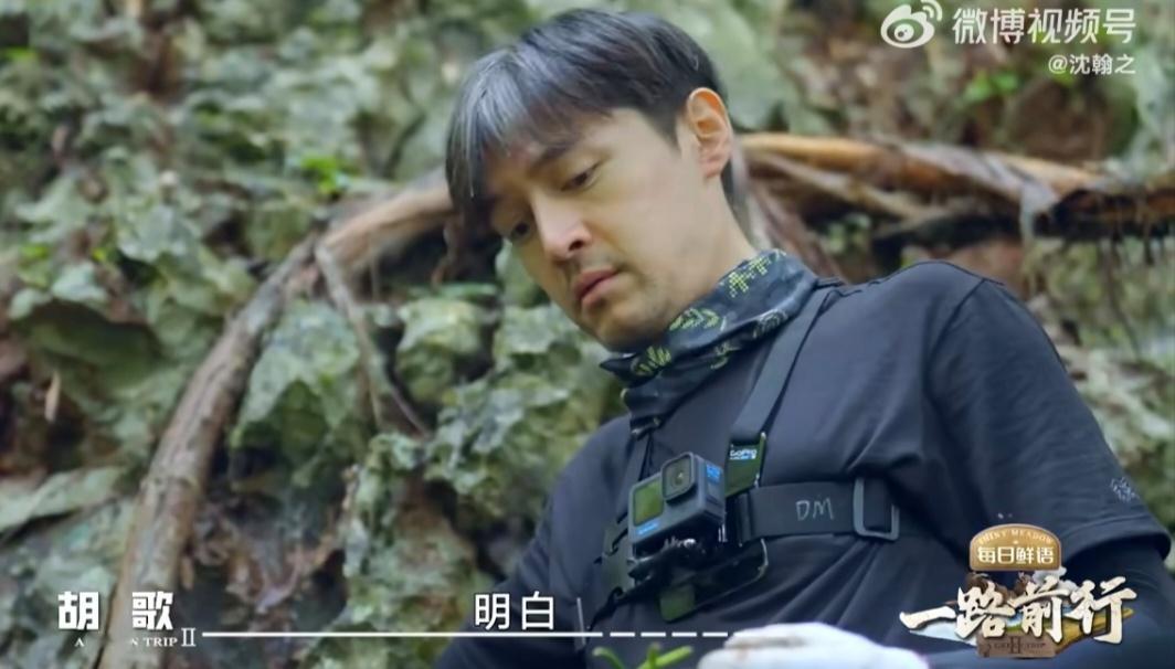 胡歌好灵活一个中年男人 胡歌前脚感慨40岁人生倒计时，后脚在雨林放归兰花时便展现