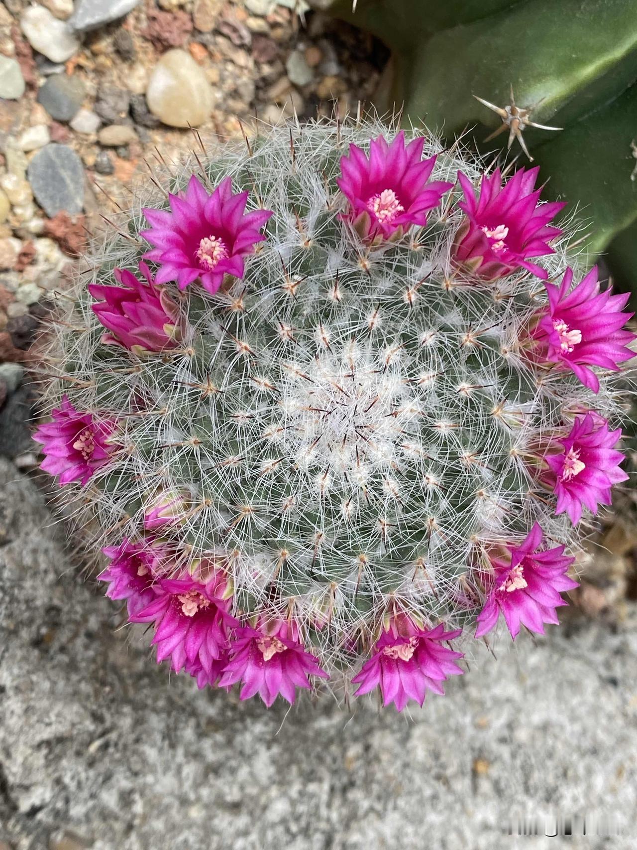 一句话证明你老了！字数越少越好我用过粮票和布票，点过煤油灯，看过露天电影。晒图笔