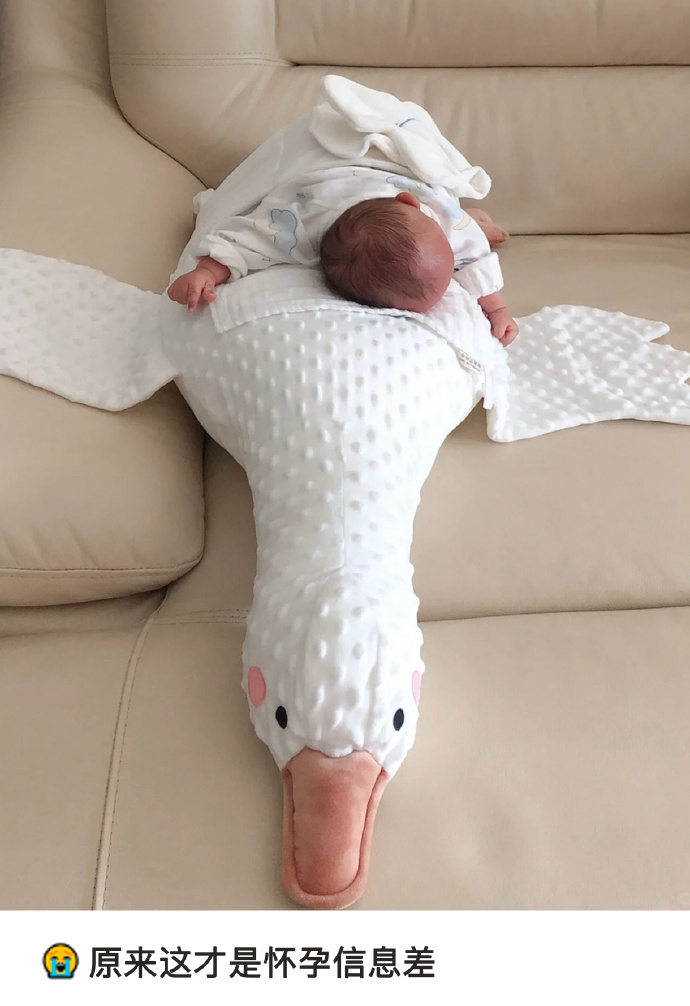 原来怀孕是卵子在筛选精子 