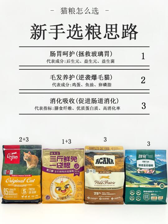 选粮思路对了事半功倍！热门猫粮实话版测评