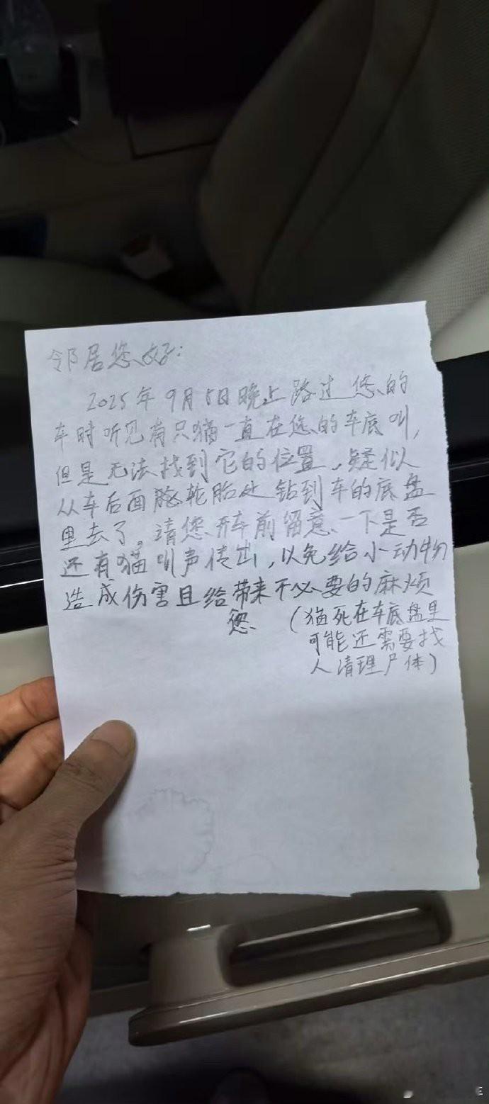 早晨准备出门，却在车底发现了一位不速之客——一只蜷缩着取暖的小猫。 本想轻轻赶它