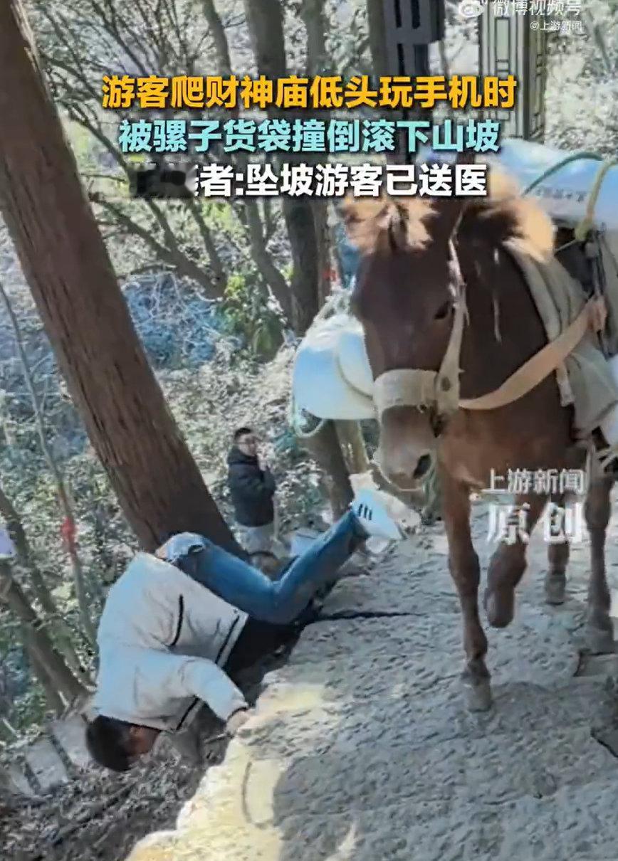 刷手机的功夫，人就从山坡滚下去了——杭州财神庙景区这幕惊险画面，看得人后背直冒冷