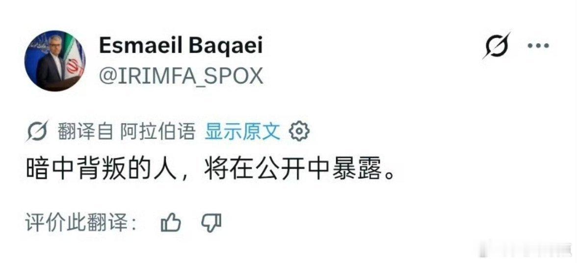 伊朗外交部发言人伊斯梅尔·巴卡伊（Esmaeil Baqaei）：暗中背叛的人，