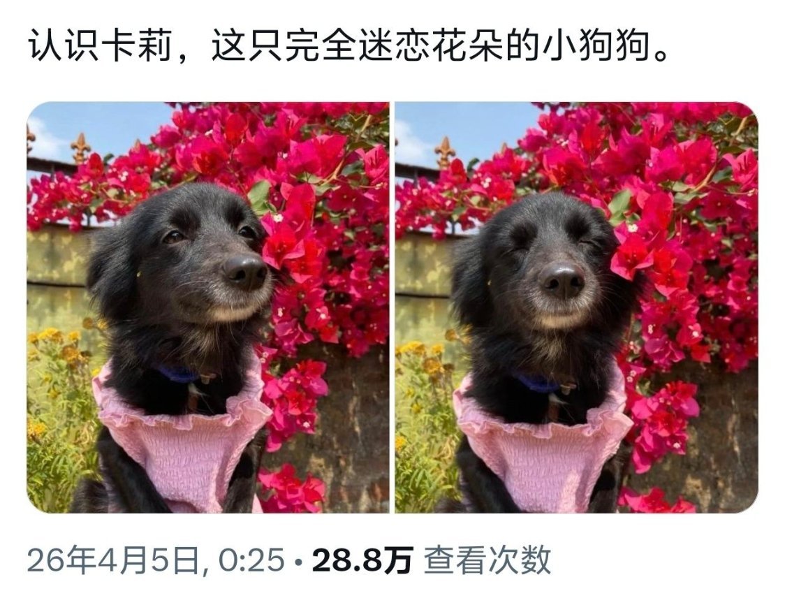 原谅这个世界一分钟 