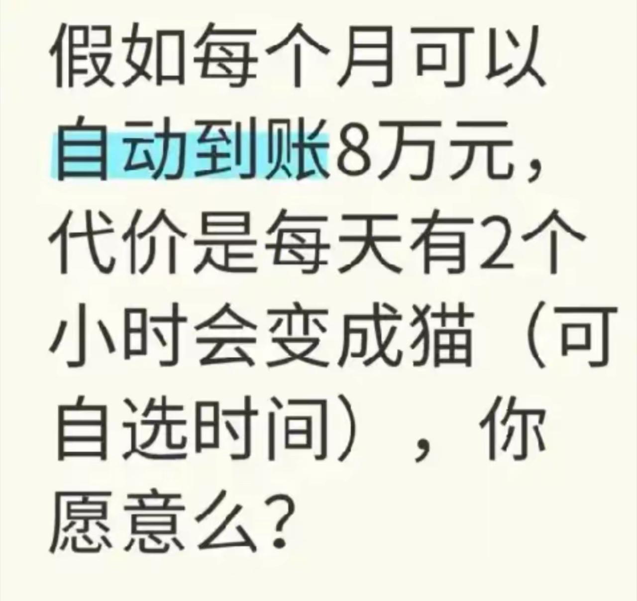 每月躺拿8万，每天2小时变身小猫咪，这买卖闭眼都愿意接！
直接把变猫时间定在上班