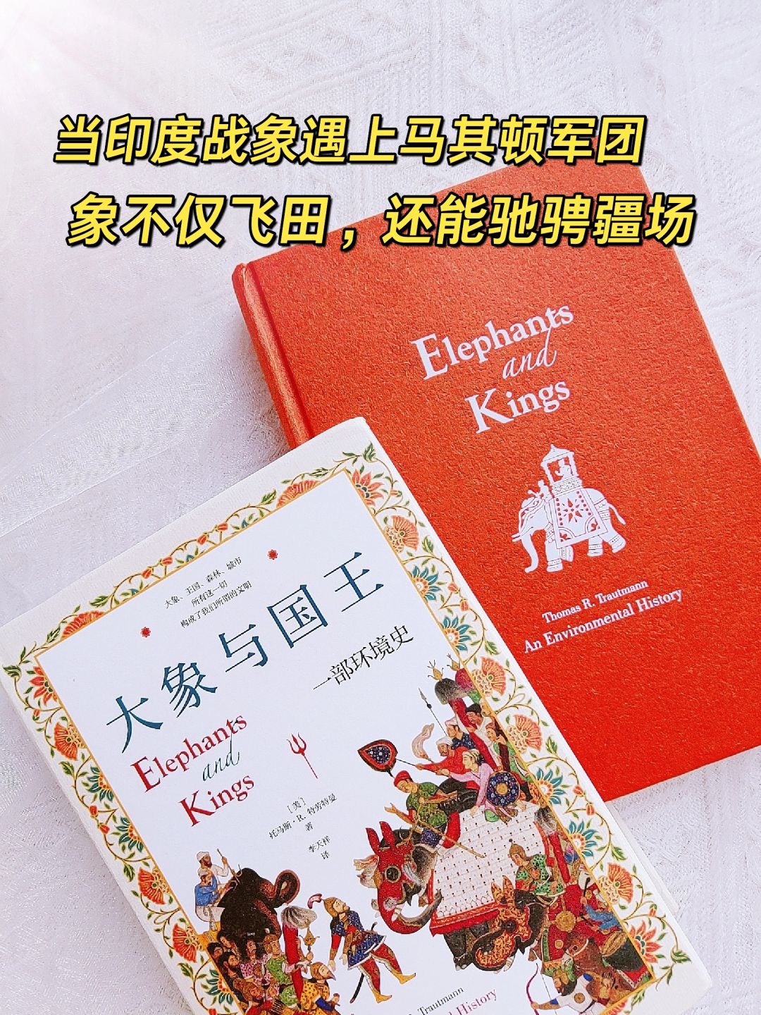 从象到战象到运输象，谁来保护它们？