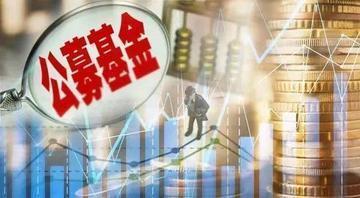 公募基金的无奈，不买这些股票还能买什么？
从公募基金2024年一季度十大重仓持股