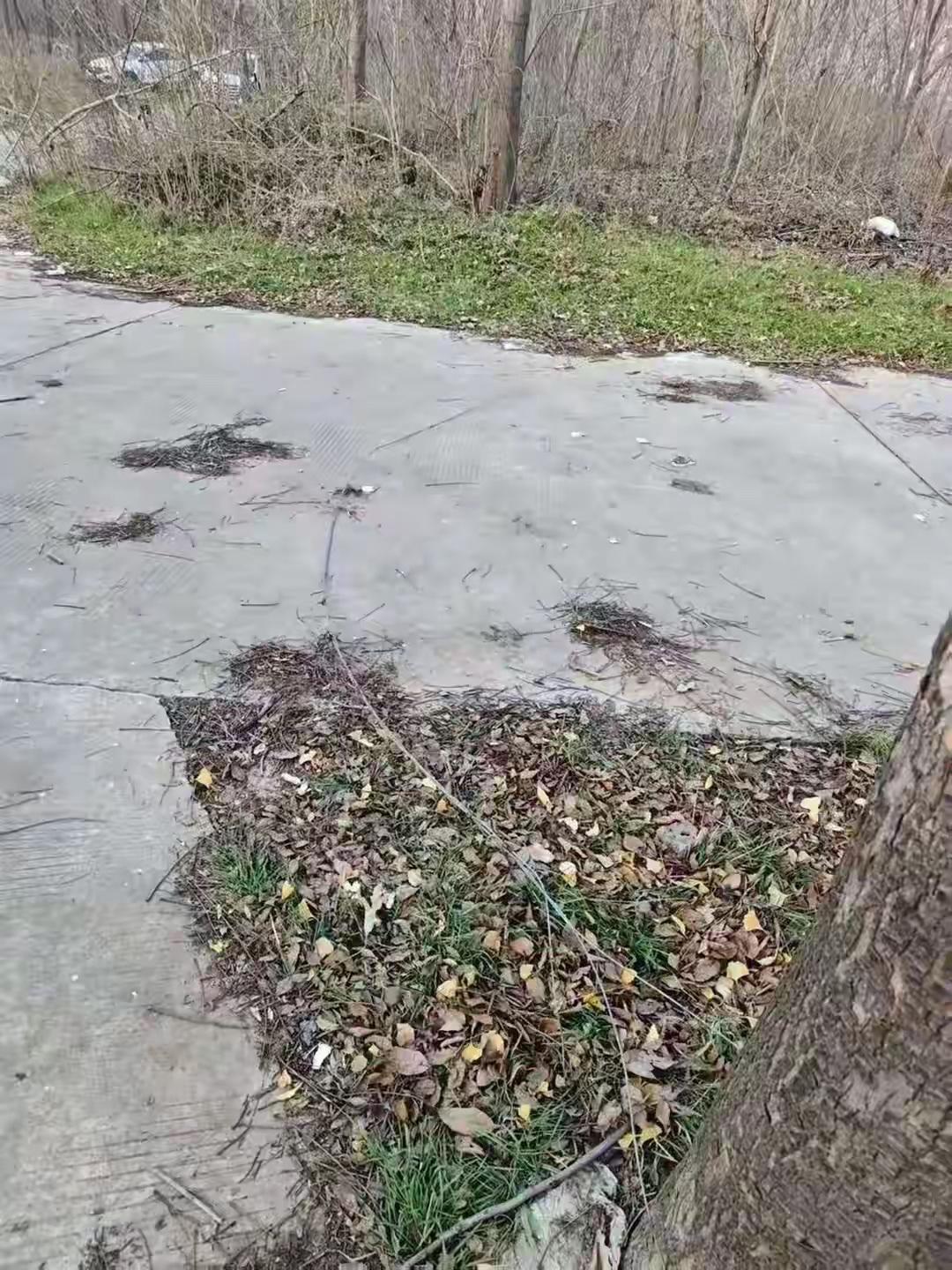 12月17日，有网友发视频称，自己的父亲在12月10日早骑车经过洛阳市偃师区首阳