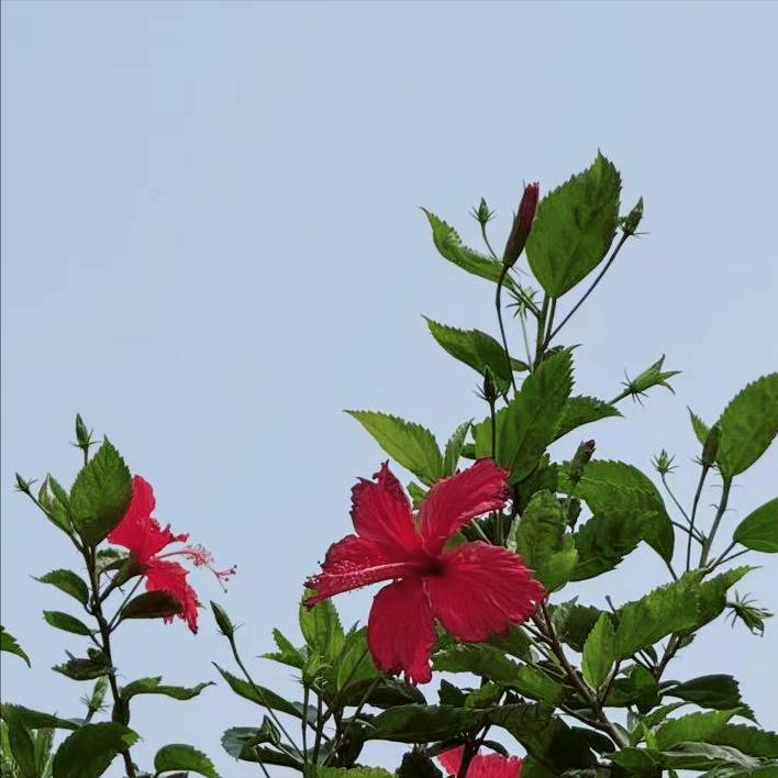 厦门迎来新的主要负责同志
 
近日，该市迎来新的主要负责同志。
 
该市是常住人