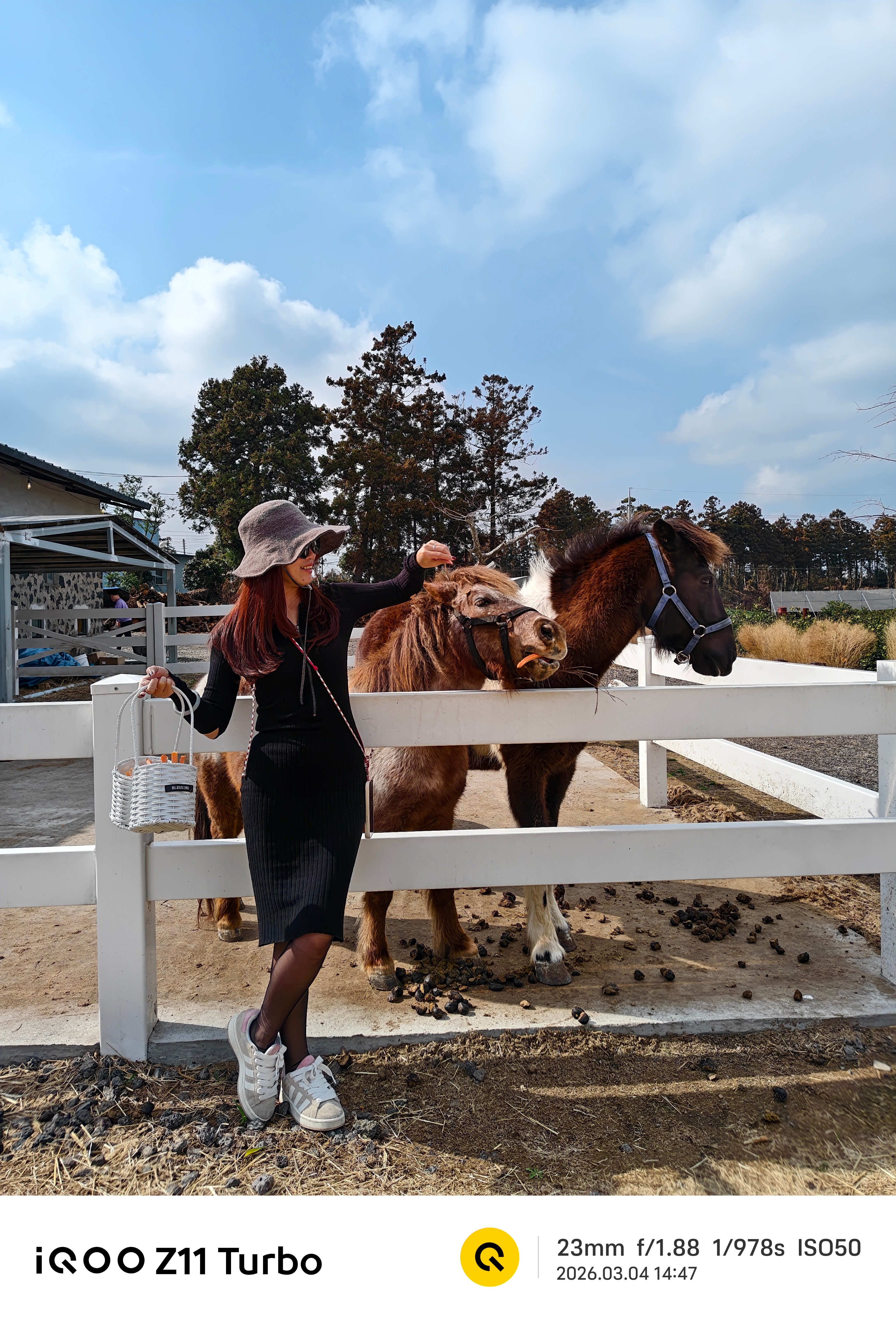 喂马又那么开心吗😄iqooiqoo z11 turbo 韩国·济州市
