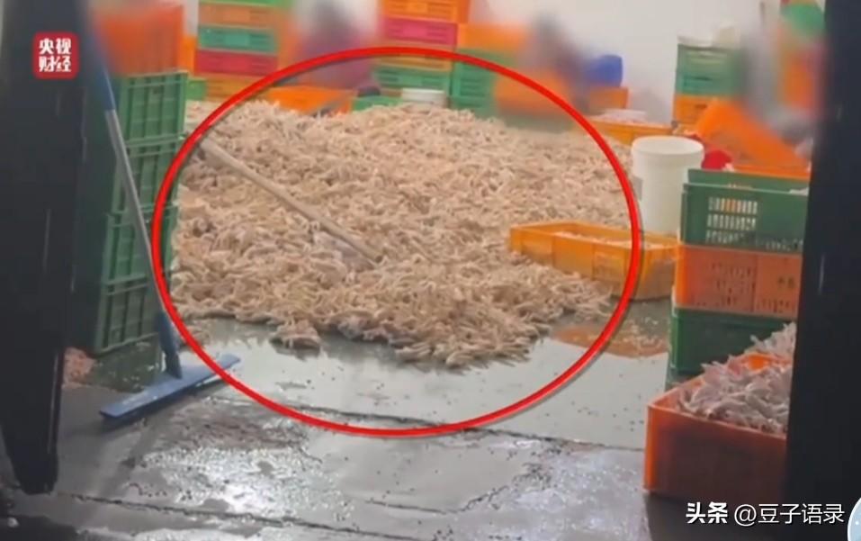 26年315晚会曝光之最让人气愤的:
泡椒鸡爪，无骨鸡爪，你还敢吃吗？黑心企业无