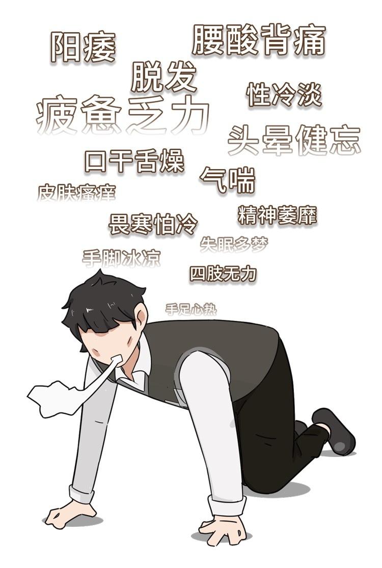 补肾成功上岸！教会一个是一个！啊啊啊太激动了家人们！补肾终于成功了！肾虚、阳痿、