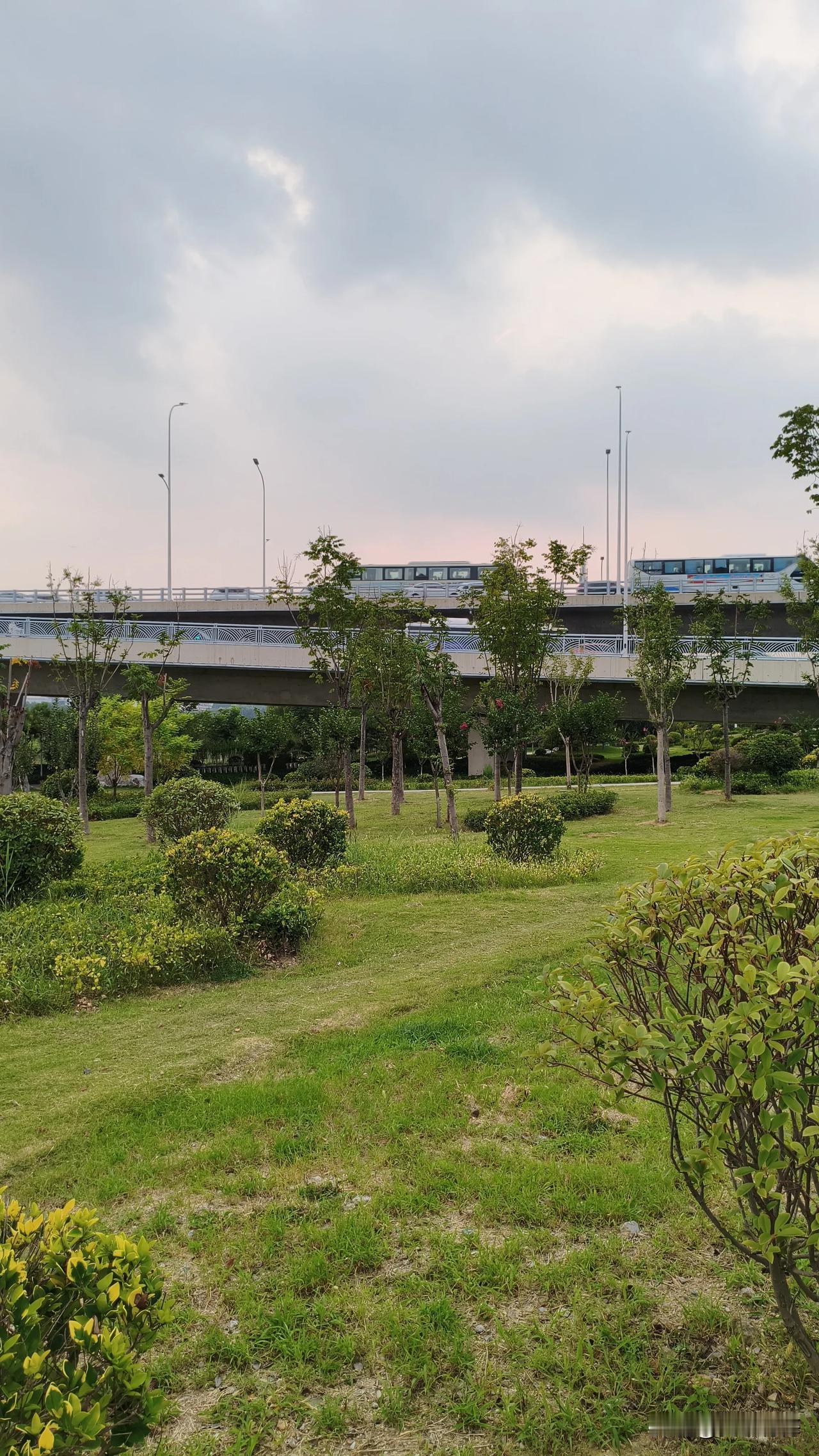 晒图笔记大赛树上桥，桥上车……