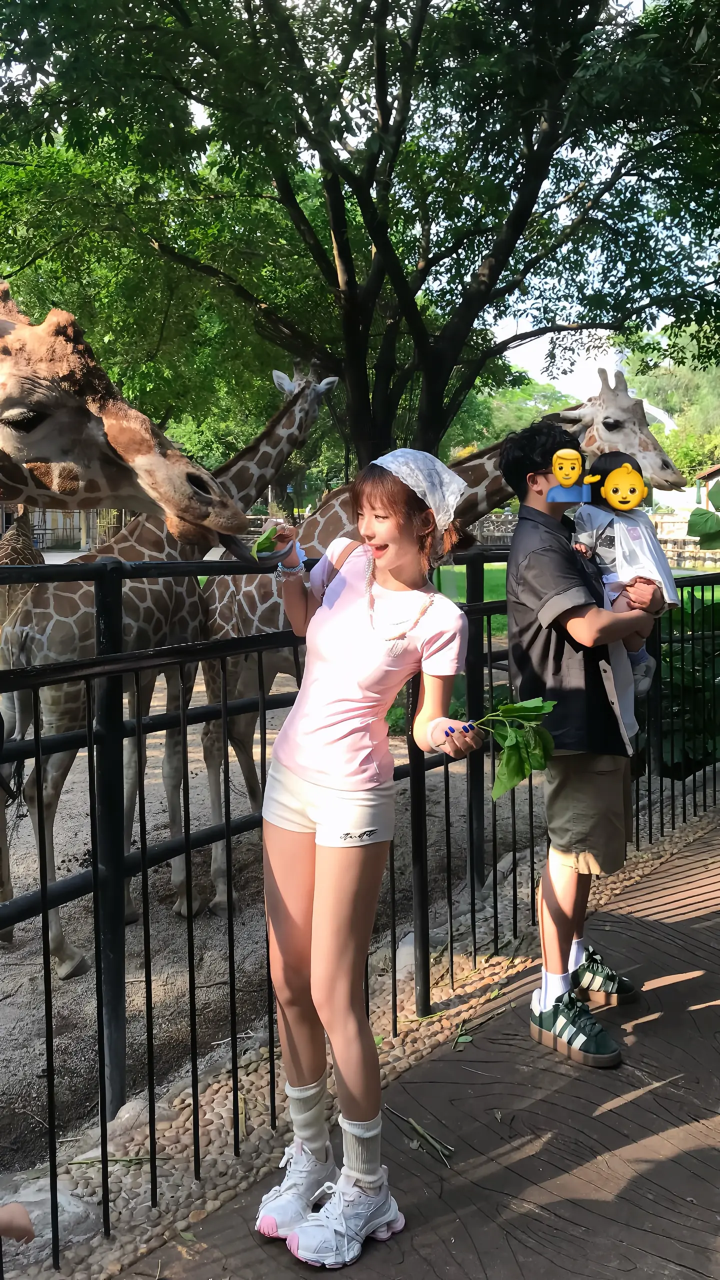 𝗣𝗹𝗼𝗴 ᵔ⤙ᵔ  动物园里有什么.ᐟ.ᐟ 🦒