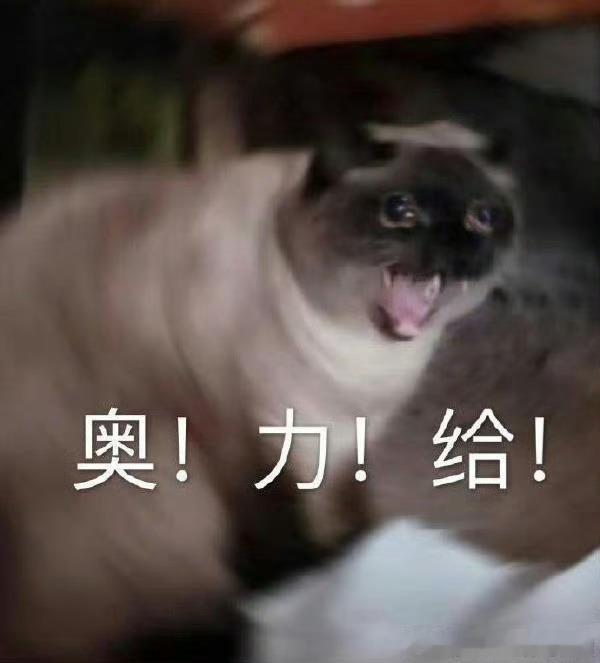 董路预测C罗今晚一定是首发 我跟我爸说董路预测C罗今晚首发我爸直接从沙发上弹起来