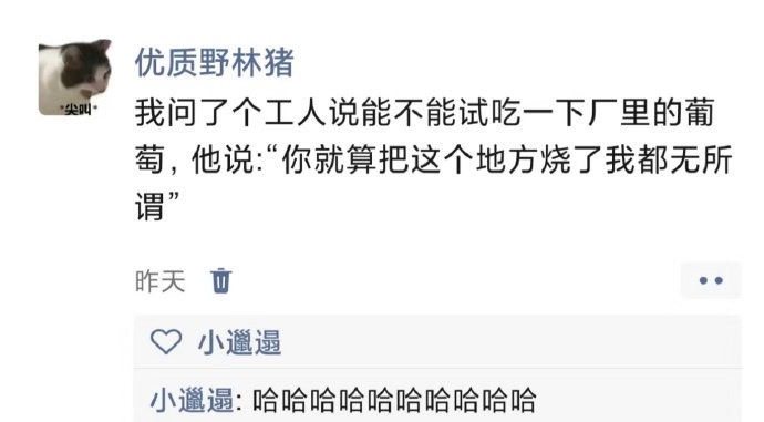 哈哈哈哈哈哈哈哈哈哈哈哈哈打工人该有的样子 ​ ​​​