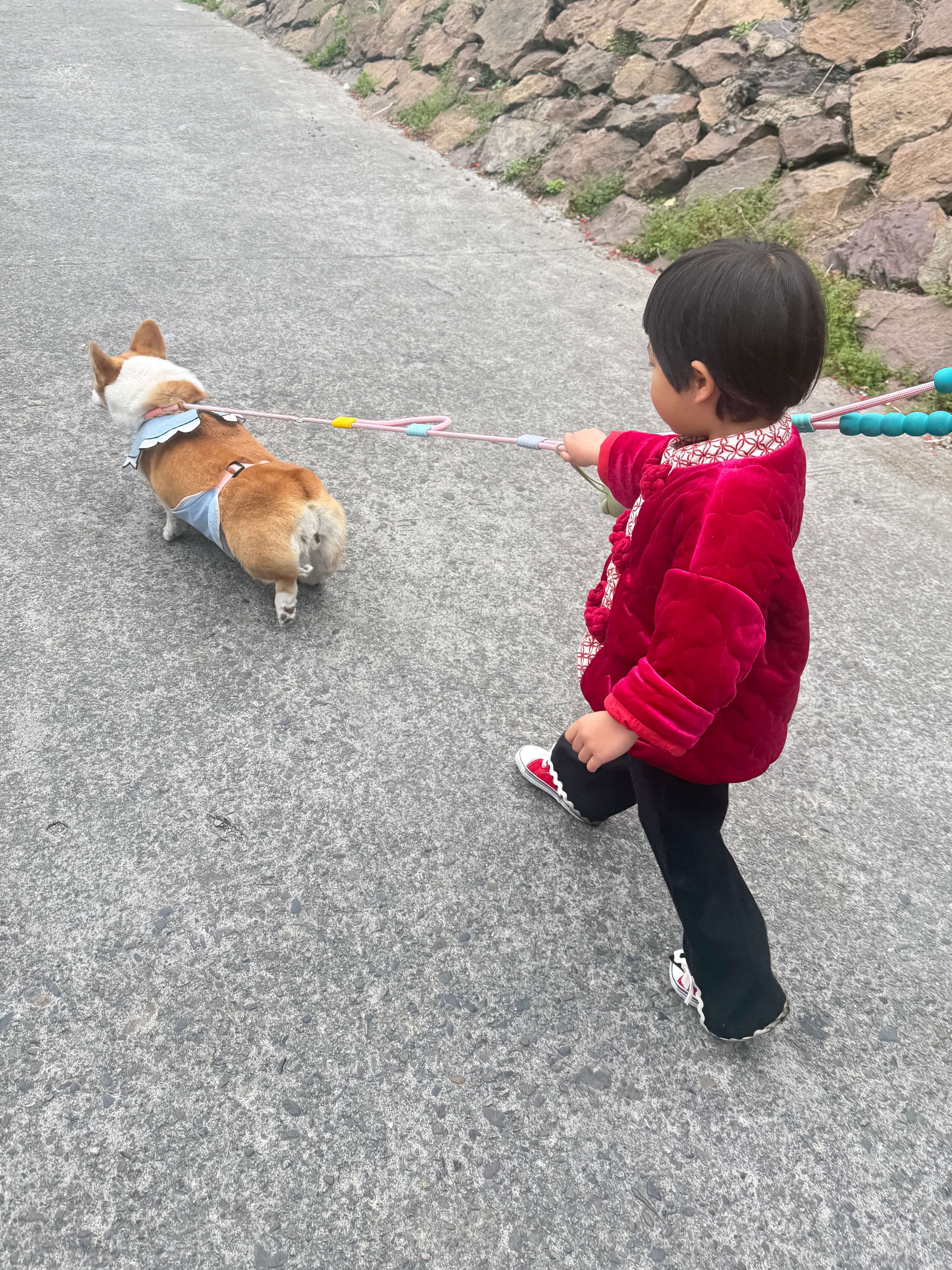 起晚了雷霆速度来与球奶汇合 