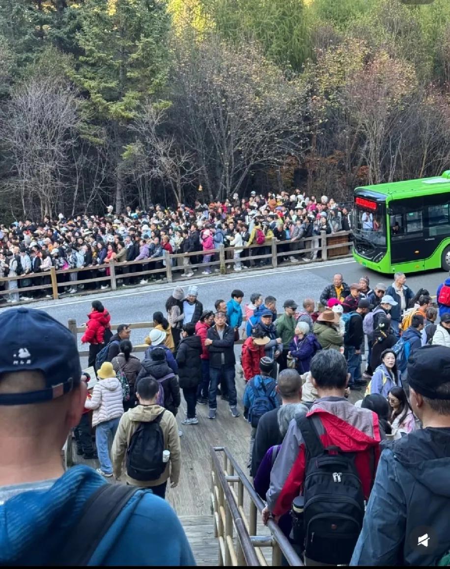 九寨沟挤到脚不沾地，这老人优待政策真的合理吗？
 
谁来评评理啊！
 
挤在九寨