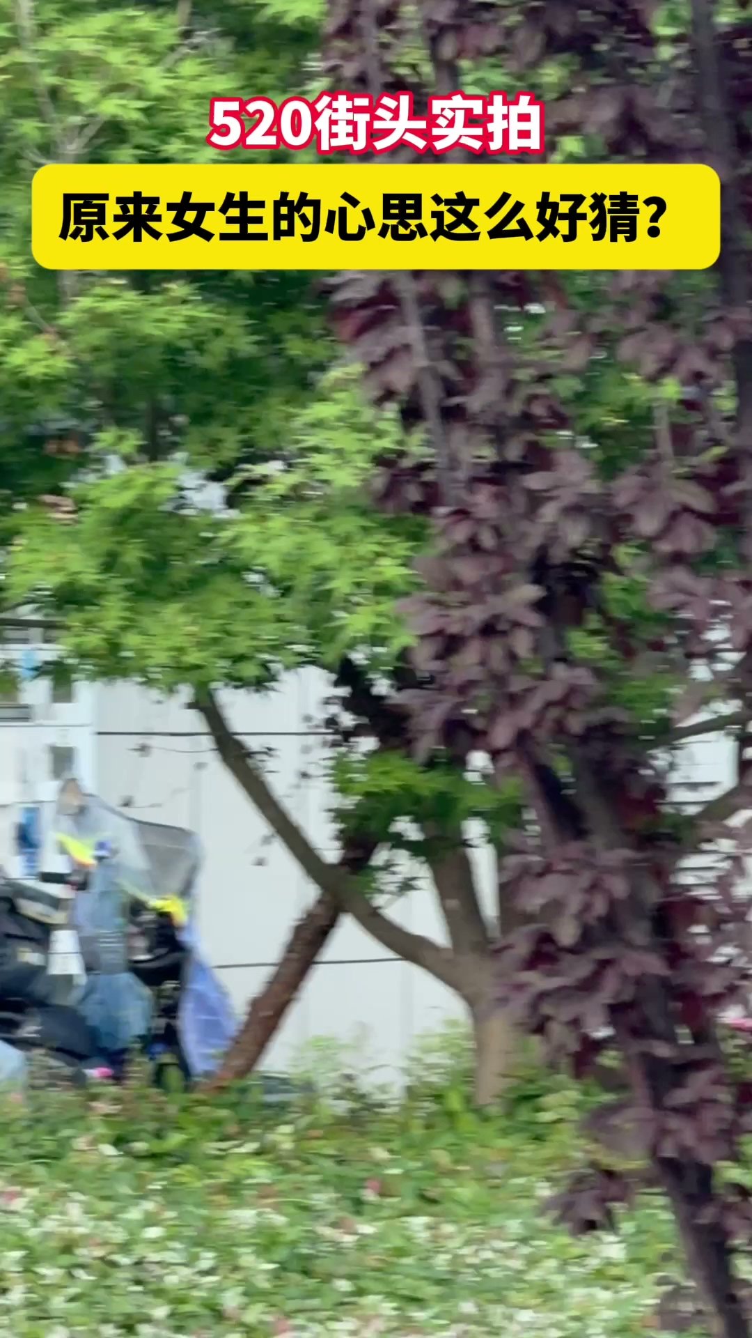 杭州520街头的氛围感有多甜杭州大街小巷皆是浪漫光景，情侣相伴尽显温馨。上美团闪