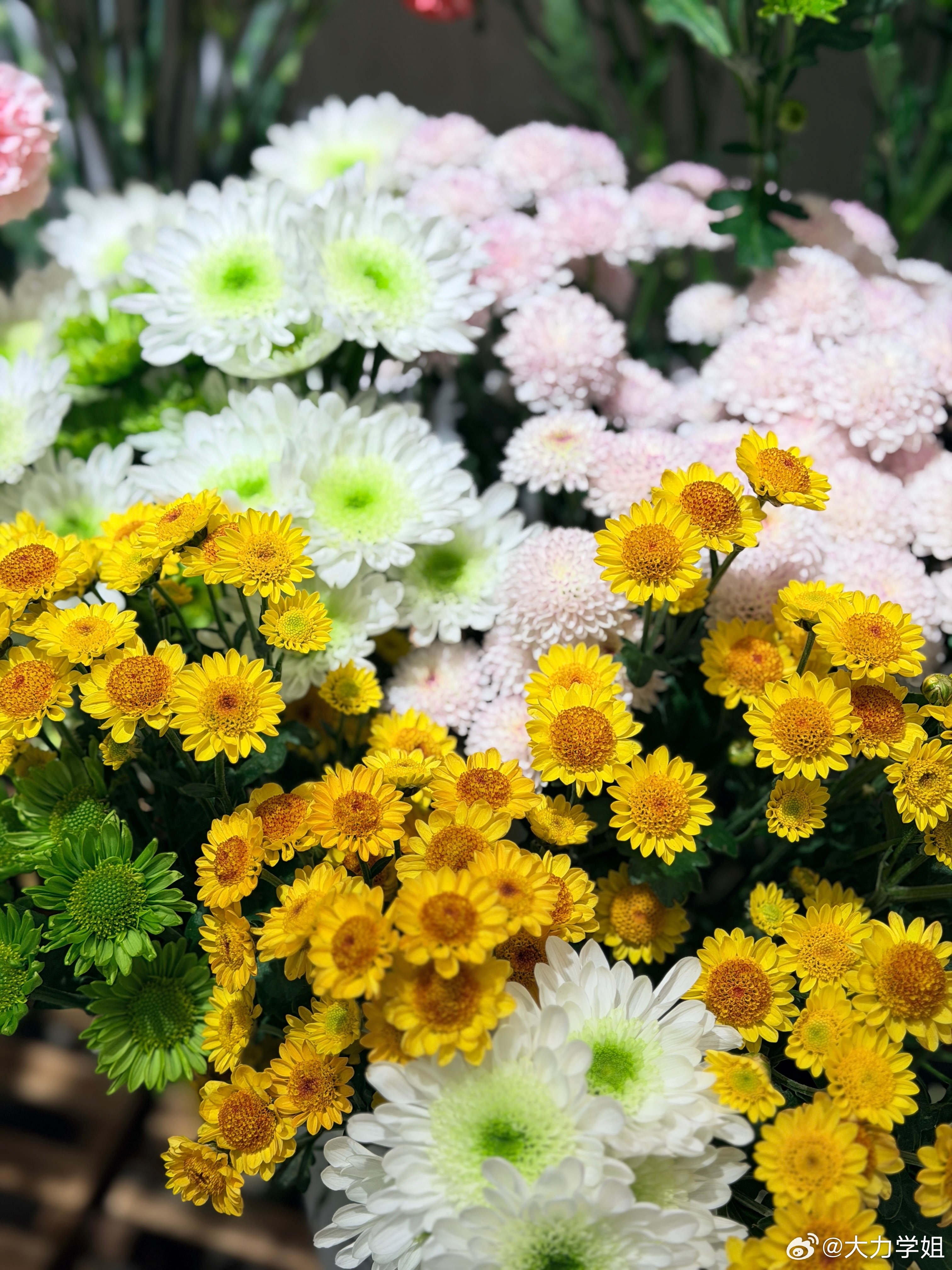 被花香包围的清晨~ 