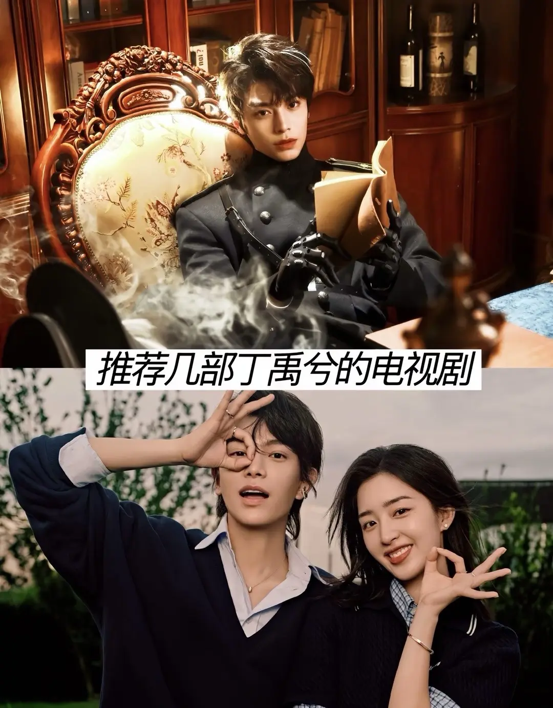 丁禹兮出演的电视剧。