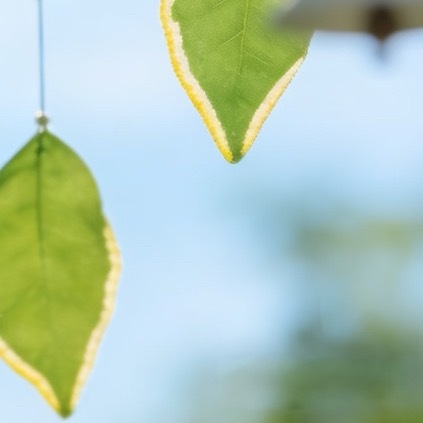 善是本心的澄澈微光，良是人性的温润底色。本心驱人向善而无伪，人性使良念落地成行。