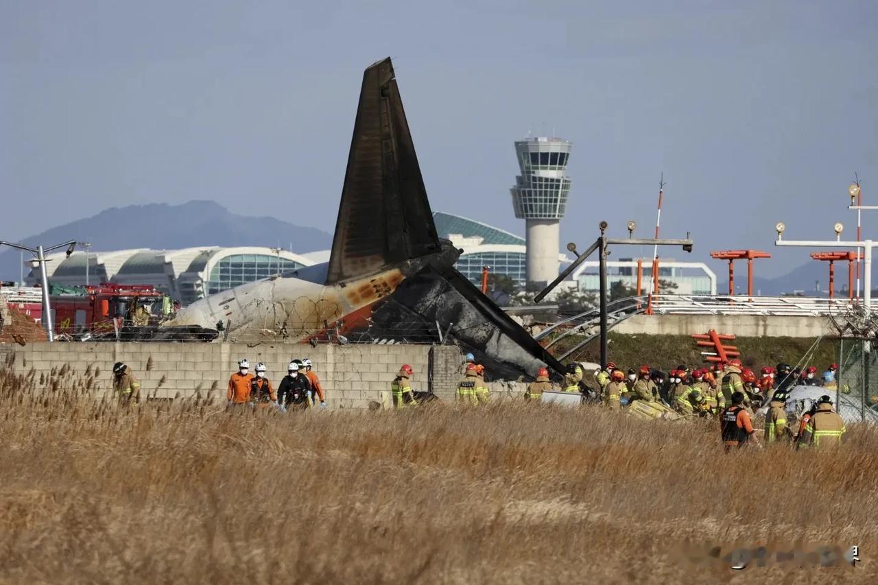【韩国29/12空难】调查空难原因可能耗时3年
首尔时间12月29日，韩国国土交