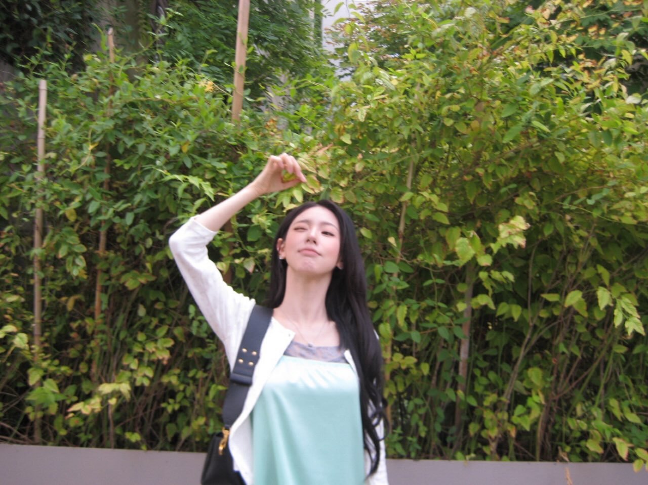 净化🍀 