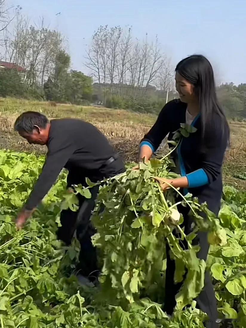 安徽合肥，儿子因病离世，儿媳妇独自抚养两个孩子，七旬公公凌晨四点倒三趟车带着鸡蛋