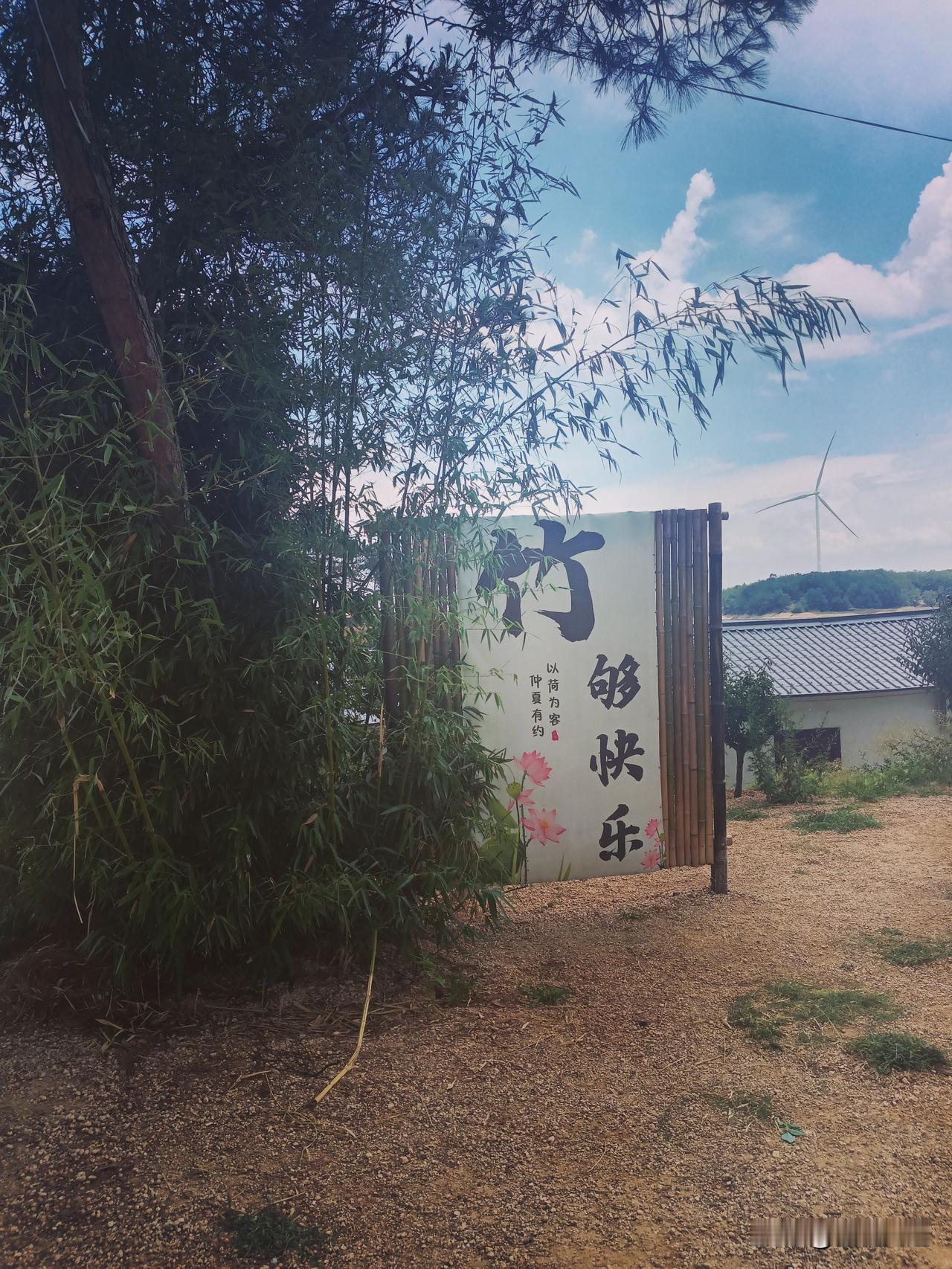 初为人师，很多人都会陷入一种教育执念。总认为纪律决定班风，班风决定学风，于是事事