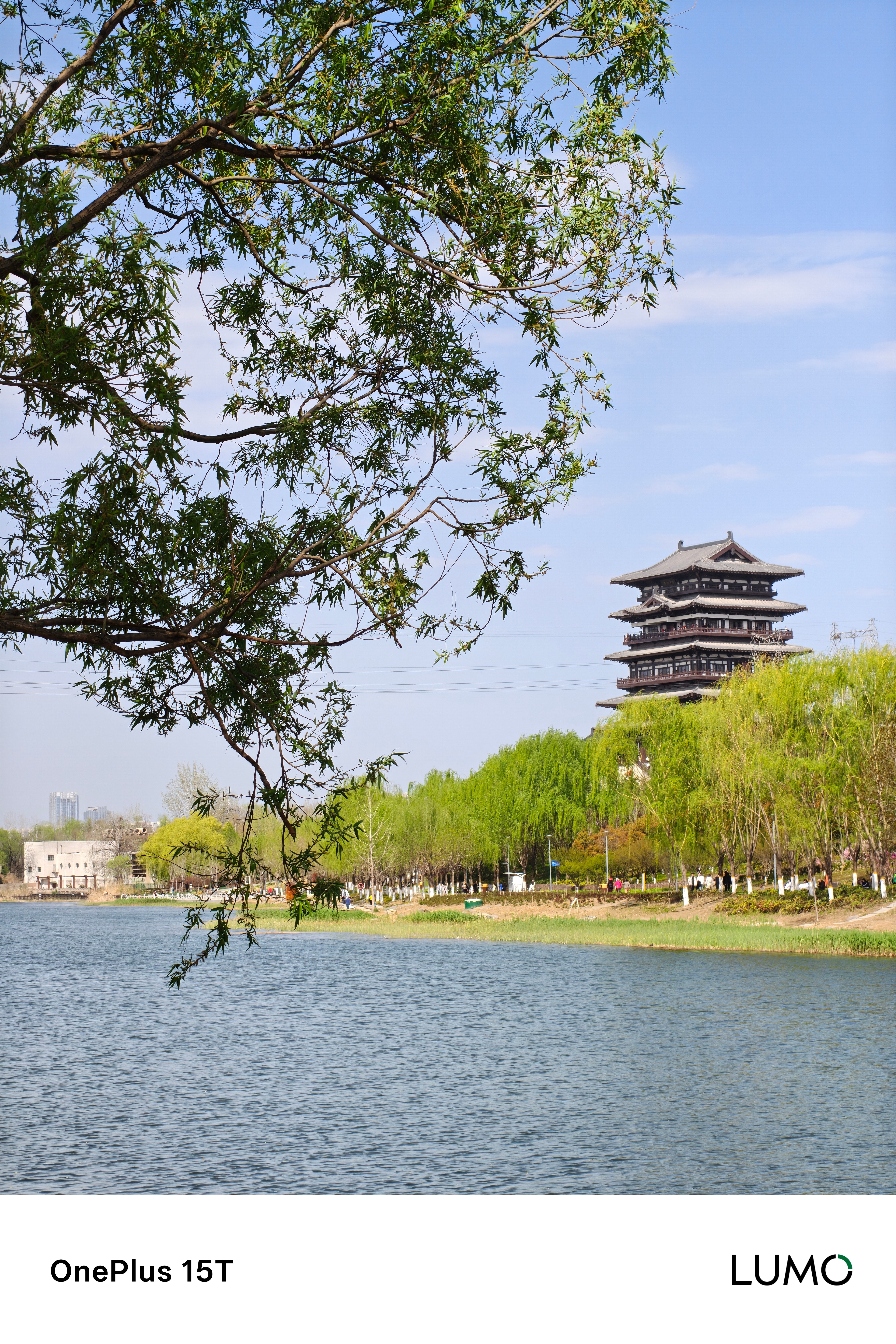 星期天，带着一加15T逛公园。小时候因为自己很胖，不好意思出来玩。不过现在长大了