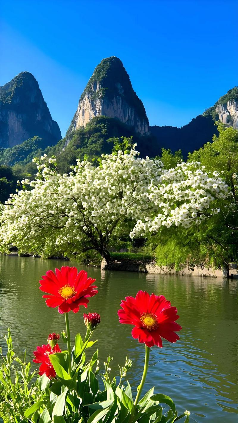 余生，守着知足，怀着感恩，揣着从容
 
人这一辈子，走着走着，就到了该看淡得失、