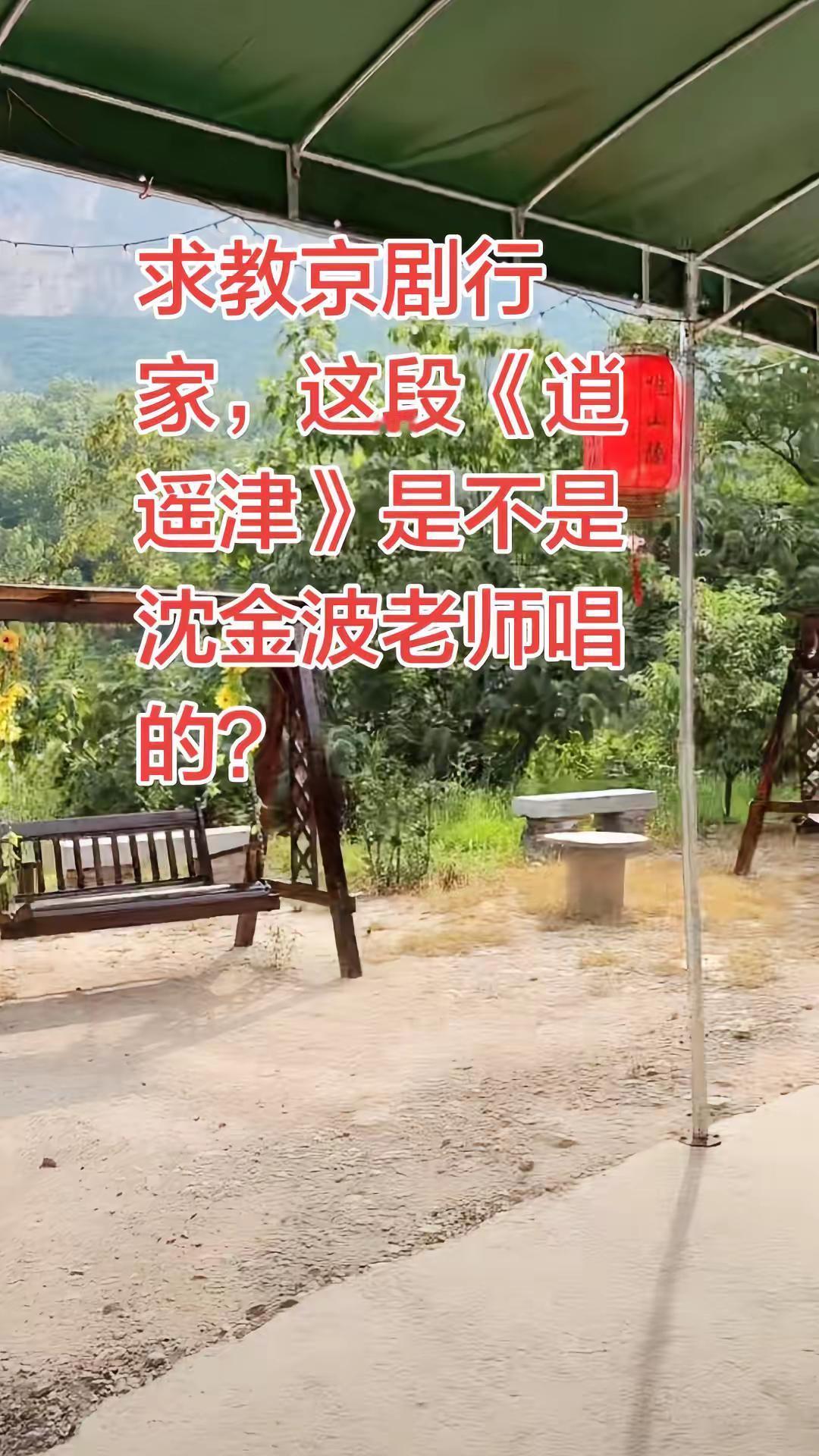 求教京剧行家，这段《逍遥津》是不是沈金波老师唱的？谁能拒绝京剧的魅力