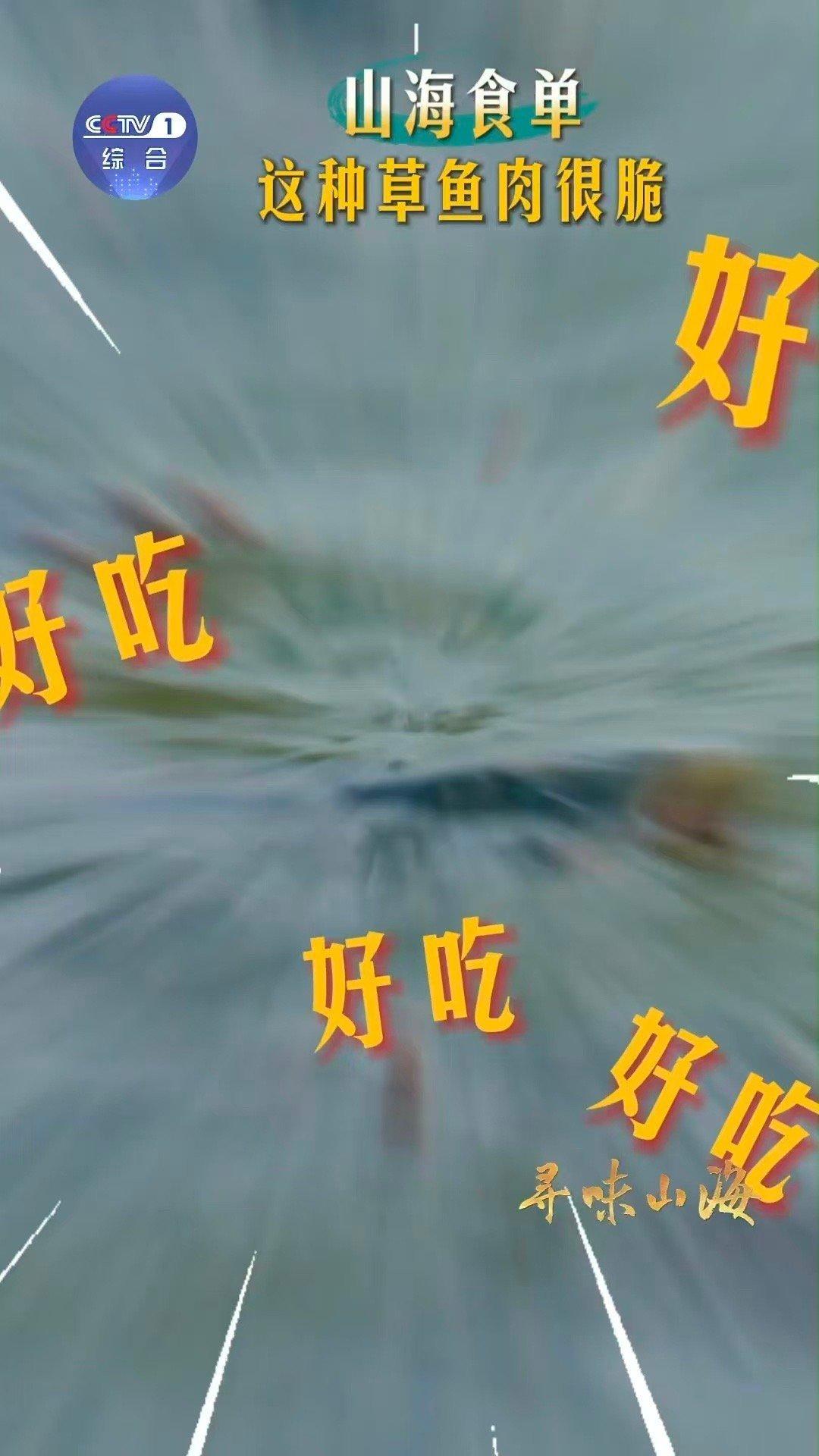 你见过吃蚕豆长大的鱼吗广东人养鱼有多讲究？让草鱼顿顿吃蚕豆，硬是把软嫩肉质“练”