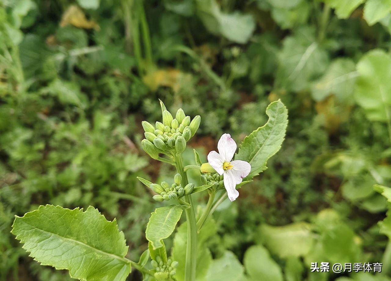 过年老公把行李砸在地板上，她连翻身装睡都懒得演。
生完孩子整整8年，这张双人床彻