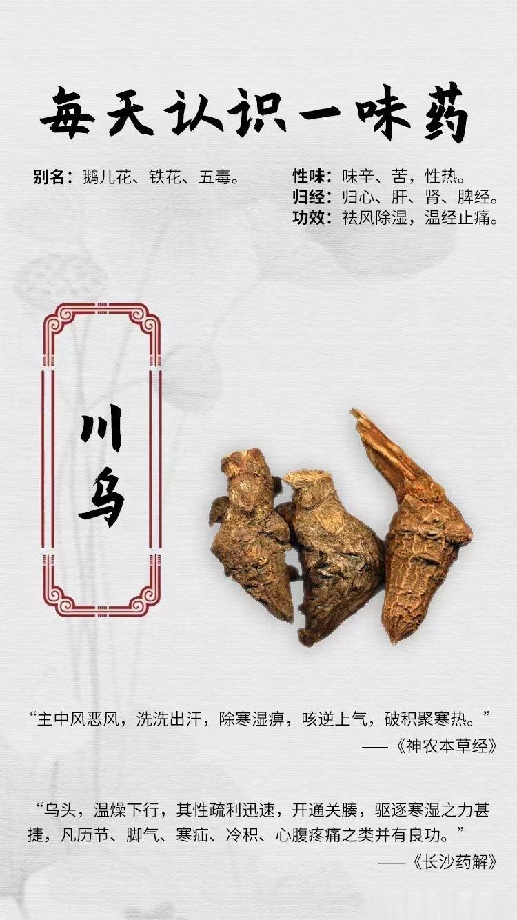 #每天一味中草药##国医的精诚力量##论道岐黄# ☘️【每天认识一味药】[鲜花]