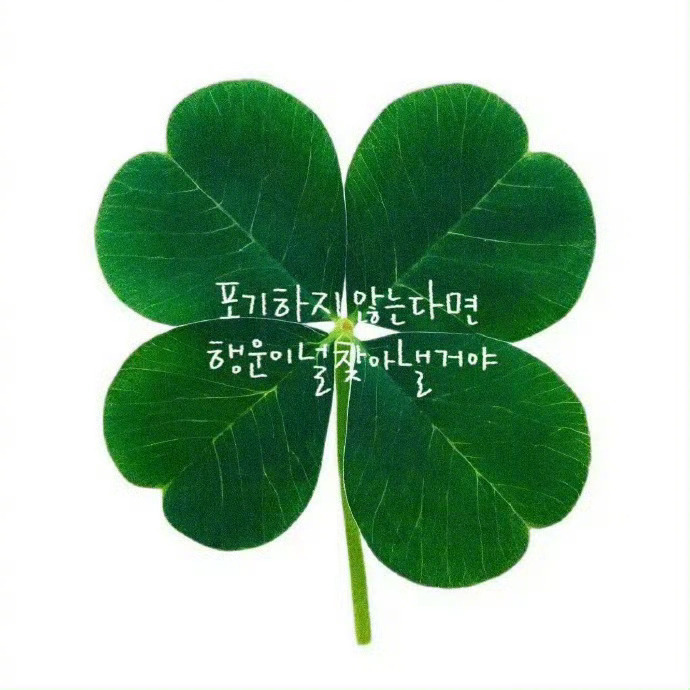 秒赞 只要不放弃 幸运就会找到你🍀 ​ ​​​
