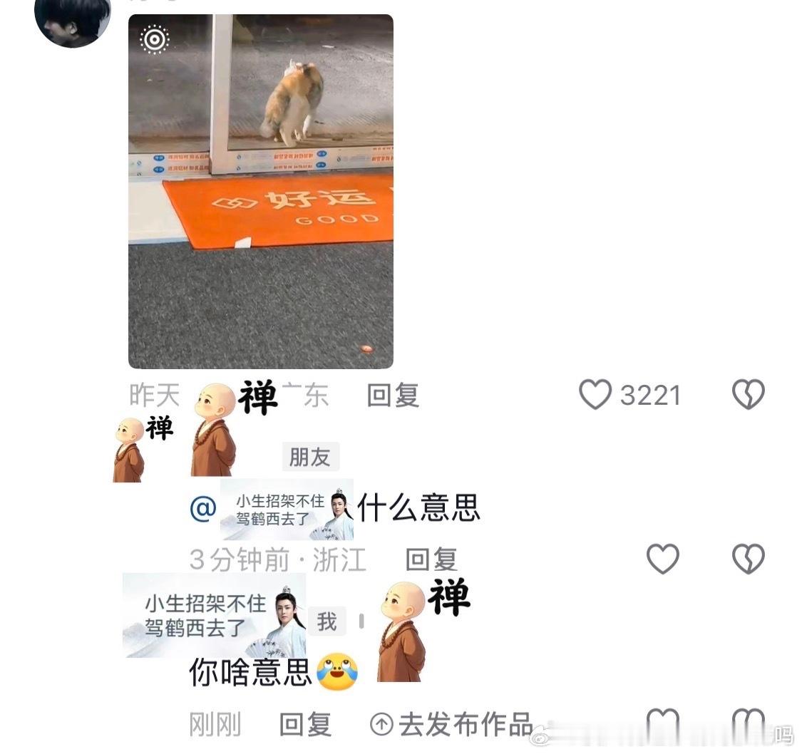 明知道我养猫 还要at我看猫被车碾的动图何意味…20468 ​​​