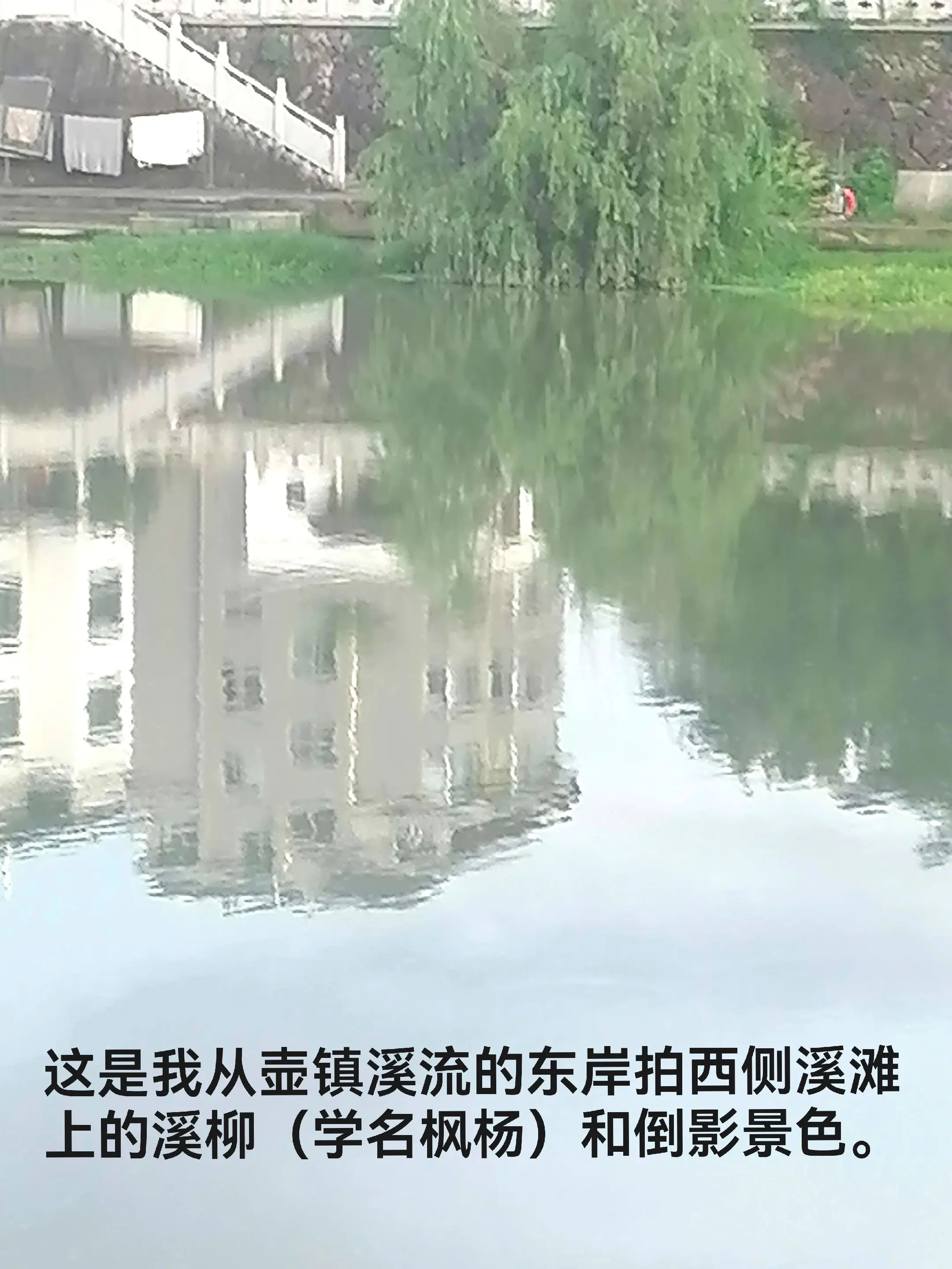 溪柳生机盎然，倒影另有地天