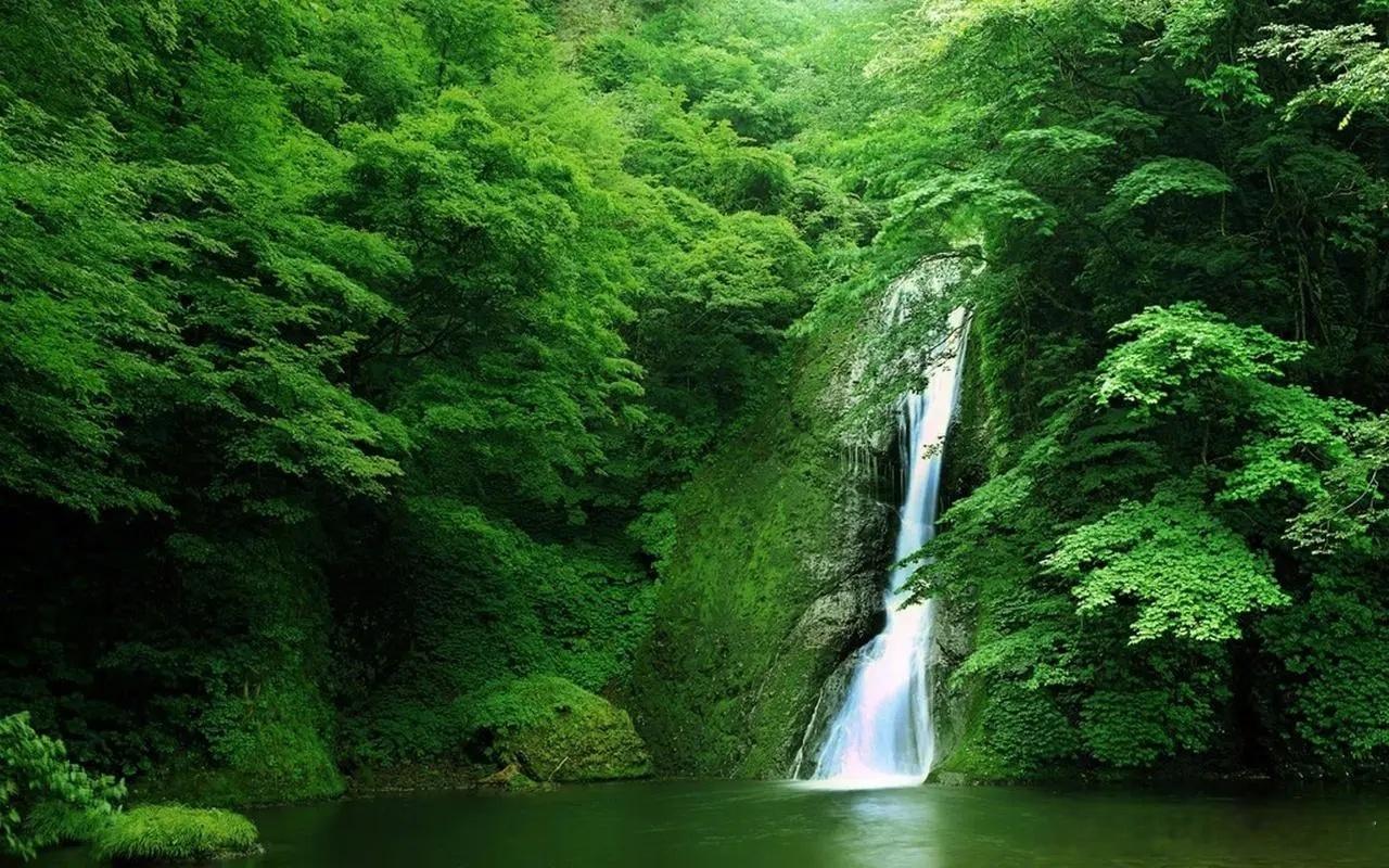 #A股#午评：今天看多，沪指有潜力越过前天3331高点。（V+留意图2,图3，下