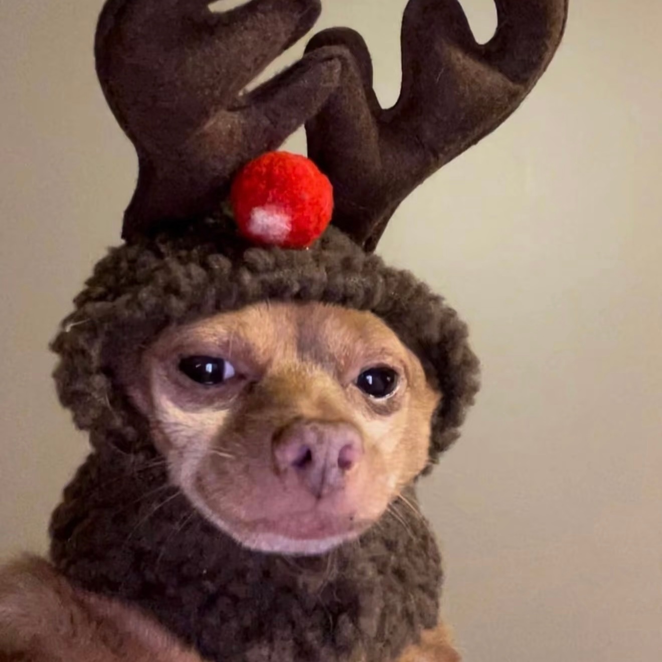 ˳✧🛷 ₊圣诞吉˚ 🎄𖦹 