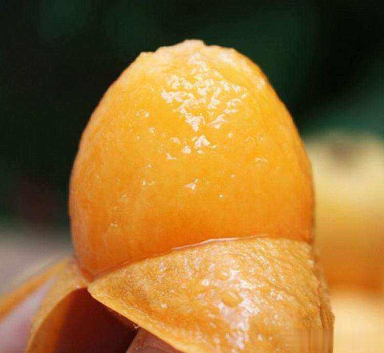 
南方各地枇杷开始陆续上市。
全中国三个地方枇杷最好，杭州塘栖，苏州东山，莆田宝