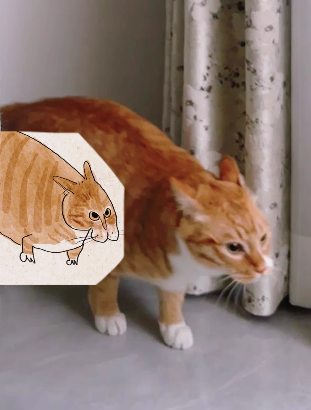 《有人画了我的丑猫》